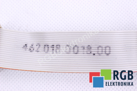 462018.0018.00 SIEMENS 20PIN 100MM CINTA DE CONEXIÓN