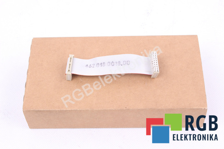 462018.0018.00 SIEMENS 20PIN 100MM CINTA DE CONEXIÓN