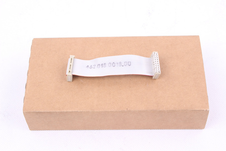 462018.0018.00 SIEMENS 20PIN 100MM CINTA DE CONEXIÓN