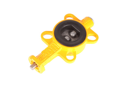 Z011-A EBRO ARMATUREN DN50 VÁLVULA DE MARIPOSA