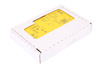 RLY3-OSSD100 SICK 1085343 RELEVO DE SEGURIDAD