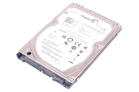 ST980313AS SEAGATE MOMENTUS 5400.6 80GB, SATAII, 2.5", HDD
