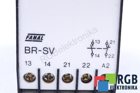 BR-SV FANAL RELEVO DE SEGURIDAD
