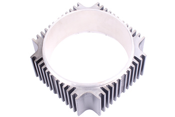 SB6024M-10011Z RAGONOT ESCUDO